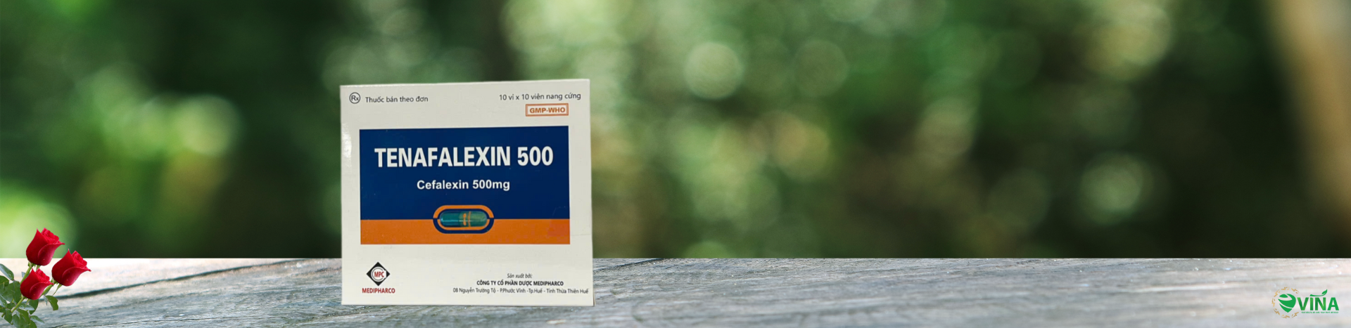 TENAFALEXIN 500MG