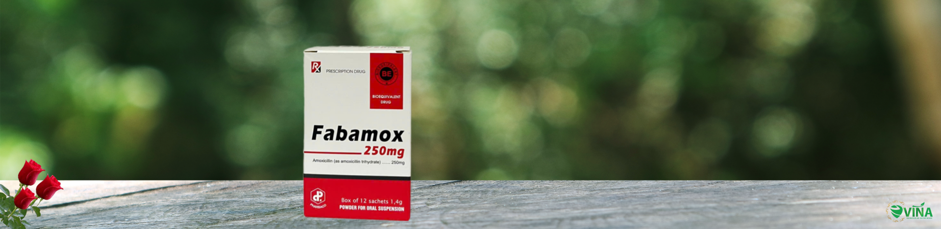FABAMOX 250MG