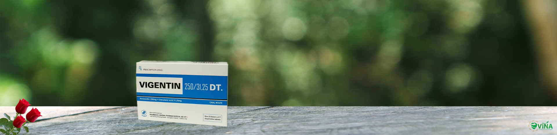 VIGENTIN 250/31.25 DT